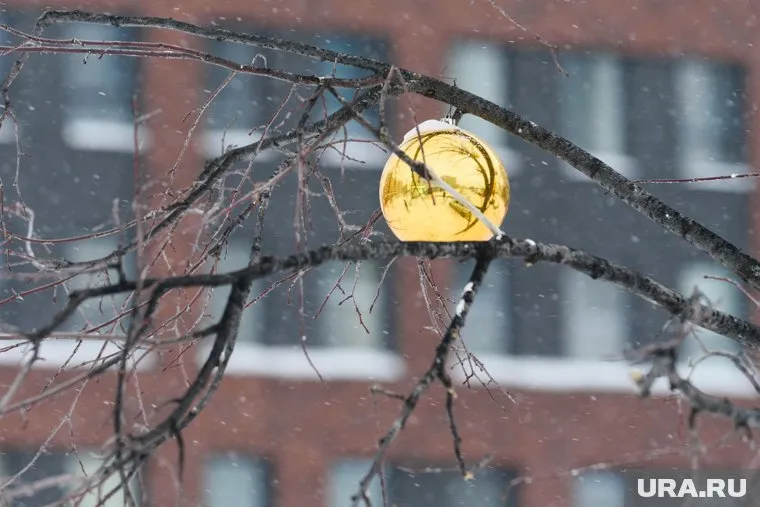 Мины напоминают часть ветки (архивное фото)