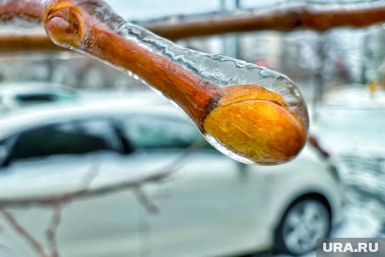 Улицы Кургана покрылись ледяной коркой утром 19 декабря