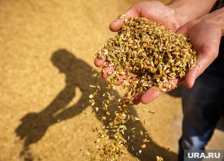 Турция сообщила о совместном решении проблемы транспортировки зерна из Украины