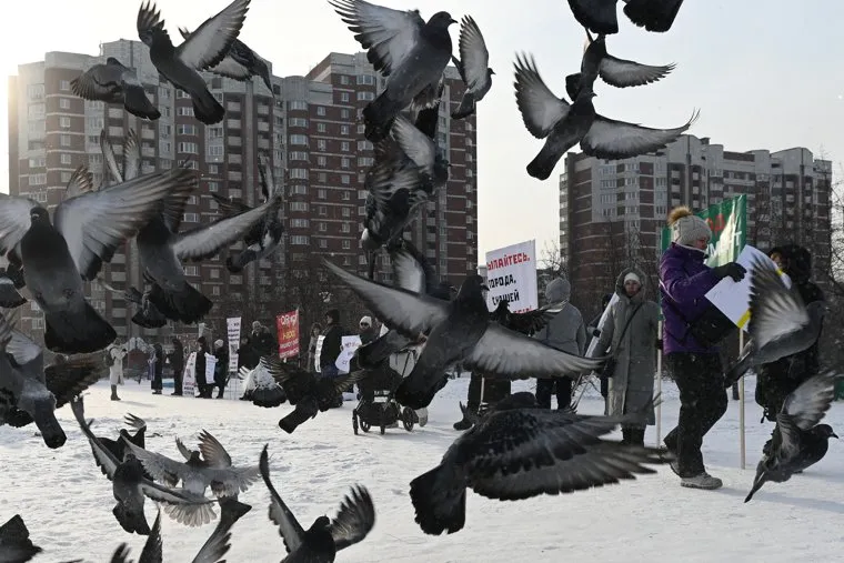 Пикет противников qr-кодов в парке Южный. Екатеринбург