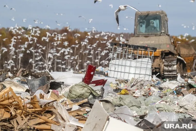 В Екатеринбурге ищут место под новый мусорный полигон