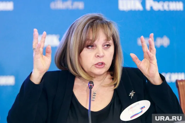 Элла Памфилова рассказала об уголовных делах, возбужденных по итогам выборов