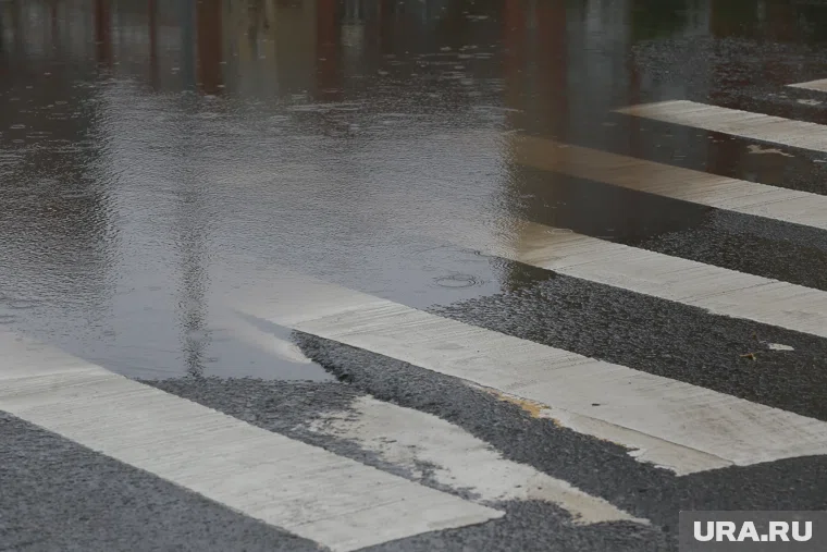 Днем в регионе потеплеет до +2 градусов