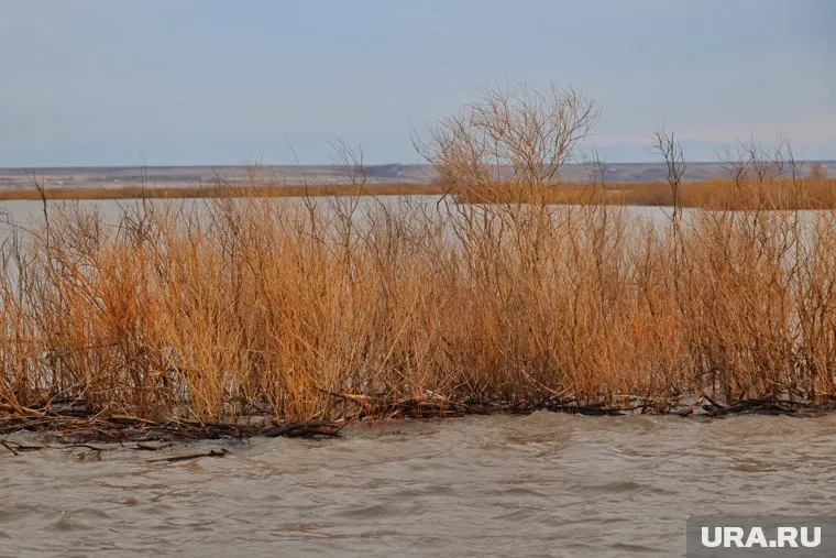 Волна паводка приближается к Кургану