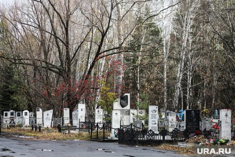 В Курганской области выросла смертность