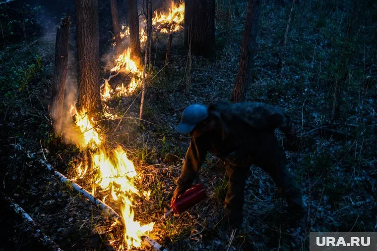 Площадь пожара под Первоуральском увеличилась до 40 гектаров (архивное фото)
