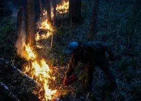 Фотография из галереи