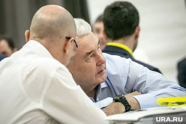 Володин и Собянин призвали россиян заменить IKEA и McDonald’s отечественным производством