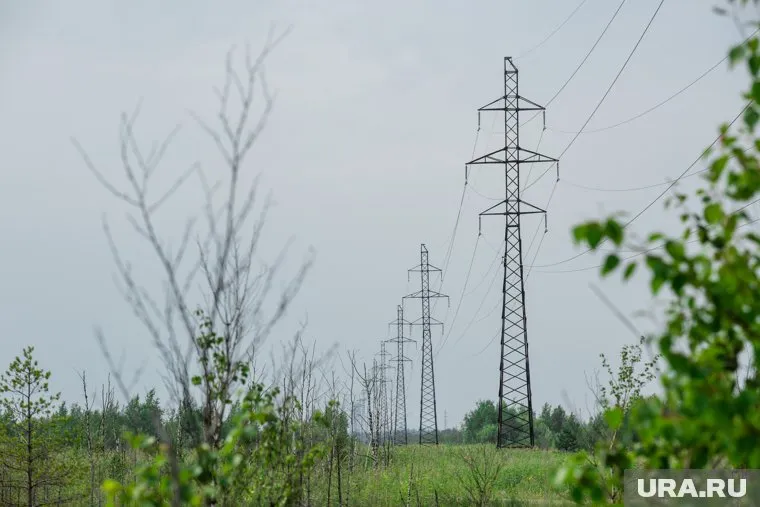 В организации считают, что план правительства может привести к ухудшению экологии