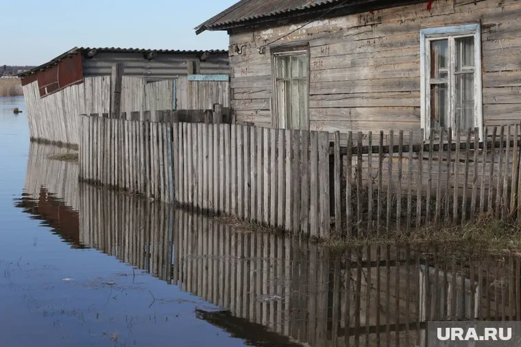 Жители Абатского района считают, что в половодье 2017 года виноваты барсуки