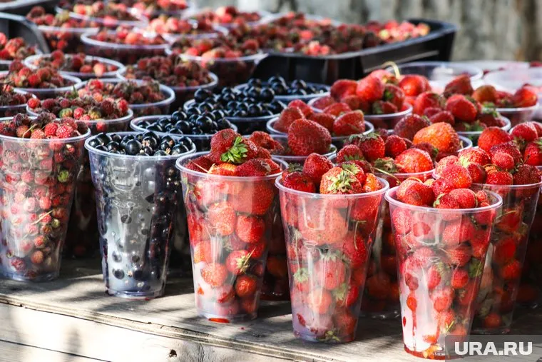 В регионе поспевают самые популярные ягоды