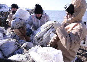 Берега Анапы полностью вычистили от мазута