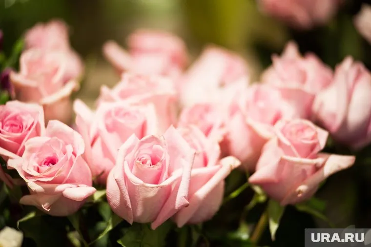 За хищение двух букетов юноше грозит четыре года за решеткой