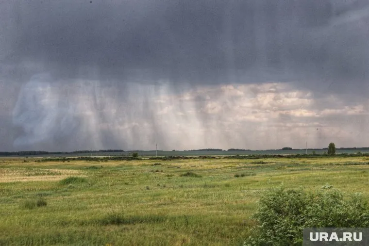 Весь день в Тюмени будет идти моросящий дождь