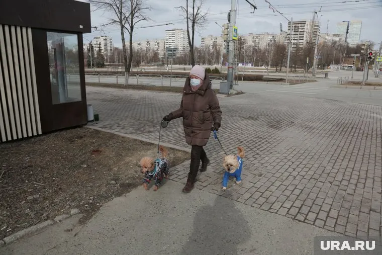 Краевые власти приняли решение пока не смягчать ограничительные меры