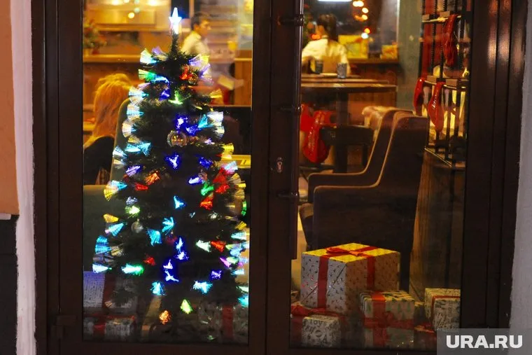 Владимир Бурматов предлагает использовать новогоднее дерево в помощь животным