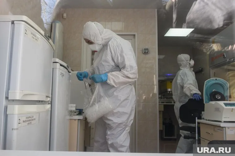 Исследования проводили в Подмосковье и Калининградской области