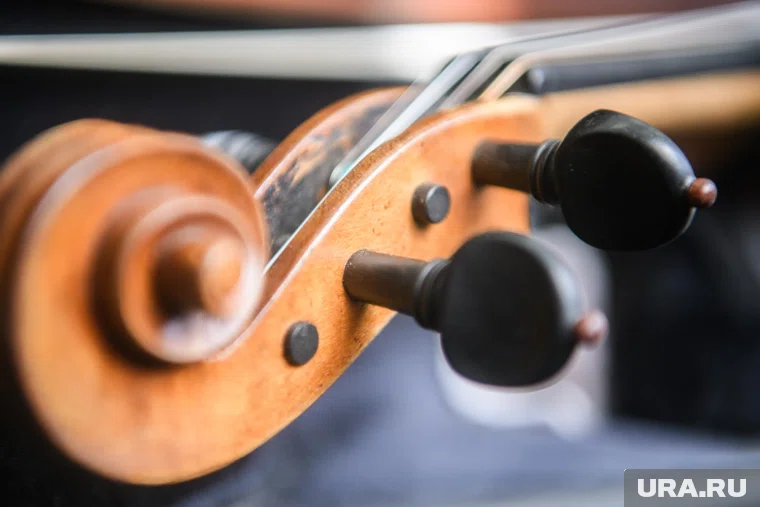 Сферу культуры ЯНАО ждут штатные преобразования