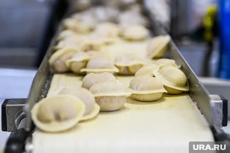 Курганский производитель хотель продавать потенциально опасную мясную продукцию