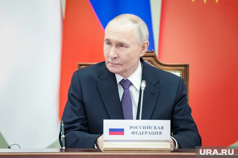Путин поручил провести эксперимент с беспилотным общественным транспортом в ряде регионов РФ