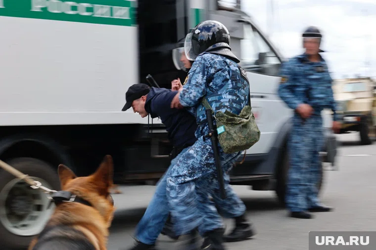 Сотрудники ГУФСИН раскрыли масштабную наркосеть 