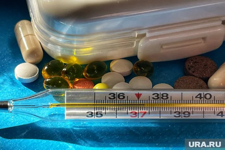 Маркетплейс «Ютека» курганского бизнесмена за год резко увеличил выручку и прибыль