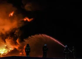 Фотография из галереи