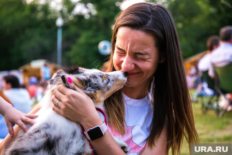 Заразиться можно из-за тесного общения с собаками 