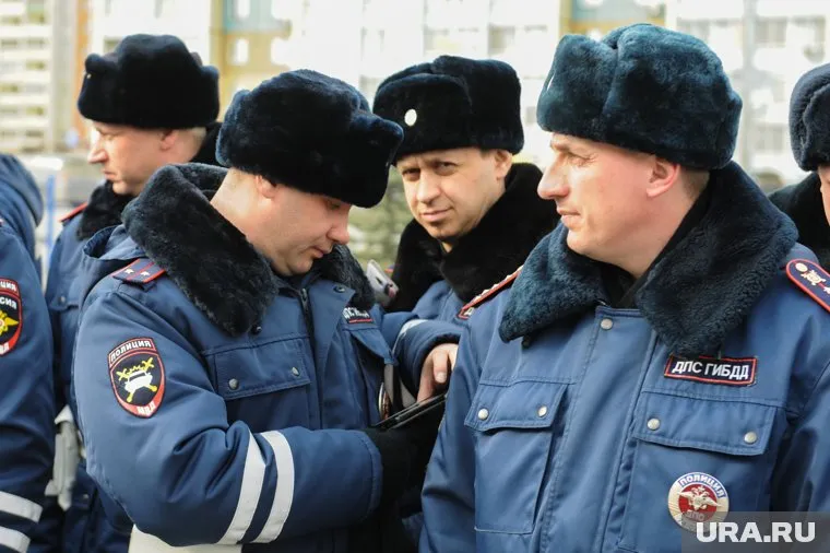 Проверять автошколы будут каждые пять лет