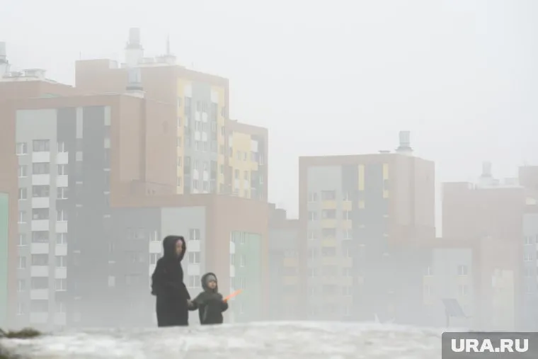 Мать с ребенком выгуливали собаку