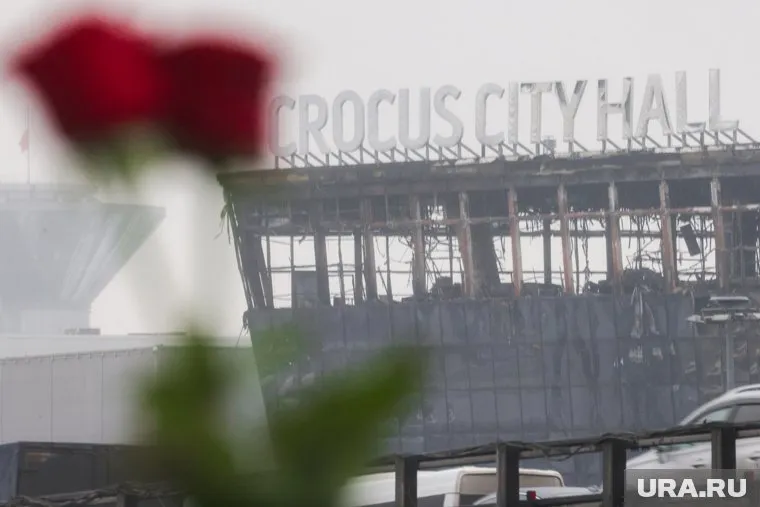 Стало известно о финансировании нападения теракта в «Крокусе»