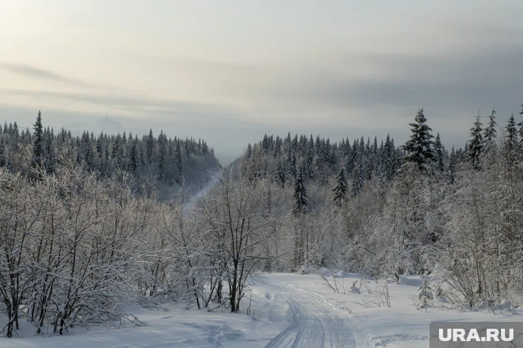 Цифровой розыск Усольцевых невозможен без дополнительных данных