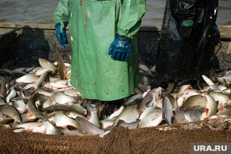 Украинские рыбаки занимались незаконным промыслом в российских территориальных водах