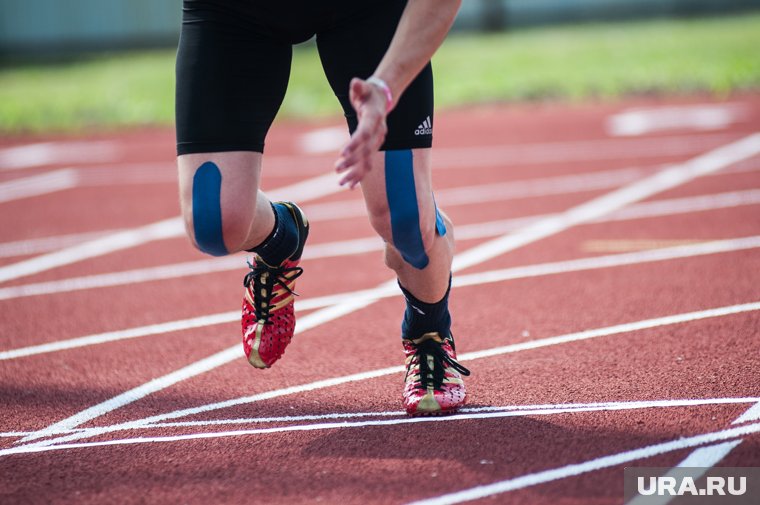 Чем известен стадион «Трудовые резервы», против застройки которого выступают пермяки