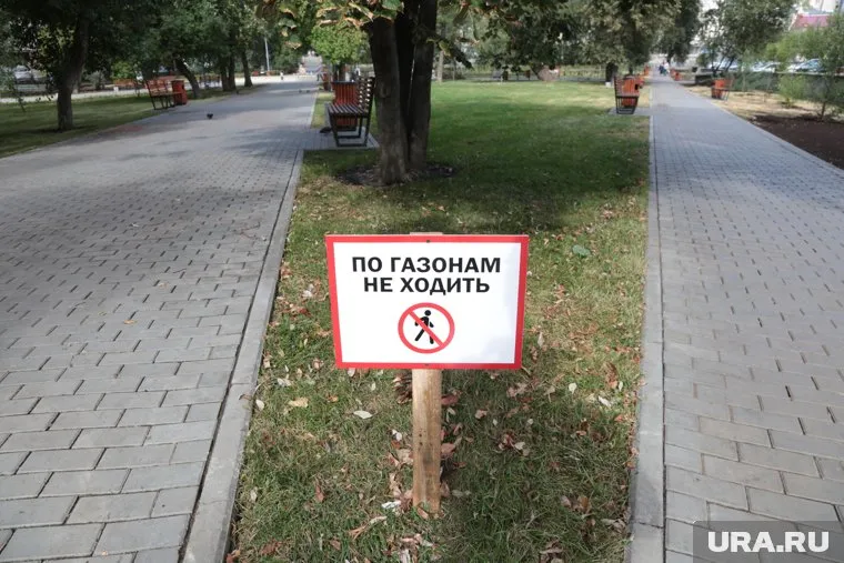 Чтобы снизить температуру в городе, нужно перестать стричь газоны, уверен Владов