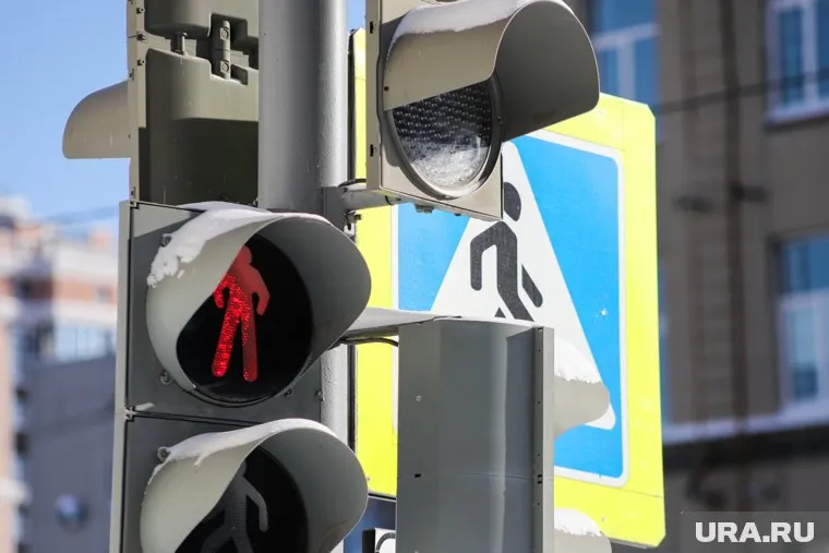 Метель в Кургане продержится еще сутки