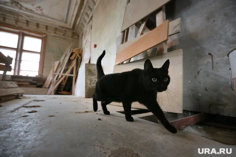 25% челябинцев назвали себя суеверными