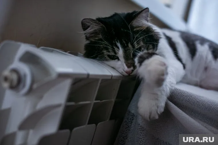 При принятии решения об окончании отопительного сезона учитывается прогноз погоды на ближайшие дни