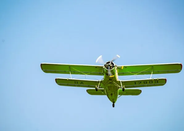 Фотография из галереи