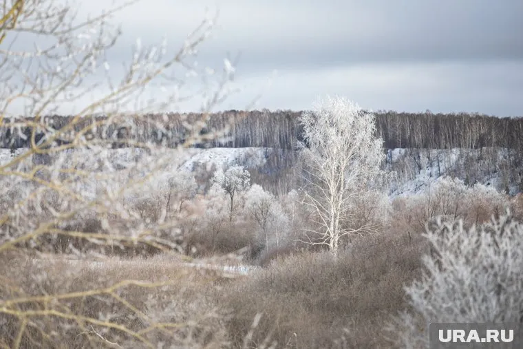 В некоторых регионах Урала выпадет снег
