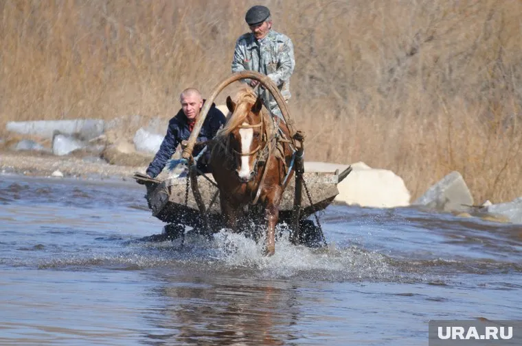 Паводок. Челябинская область