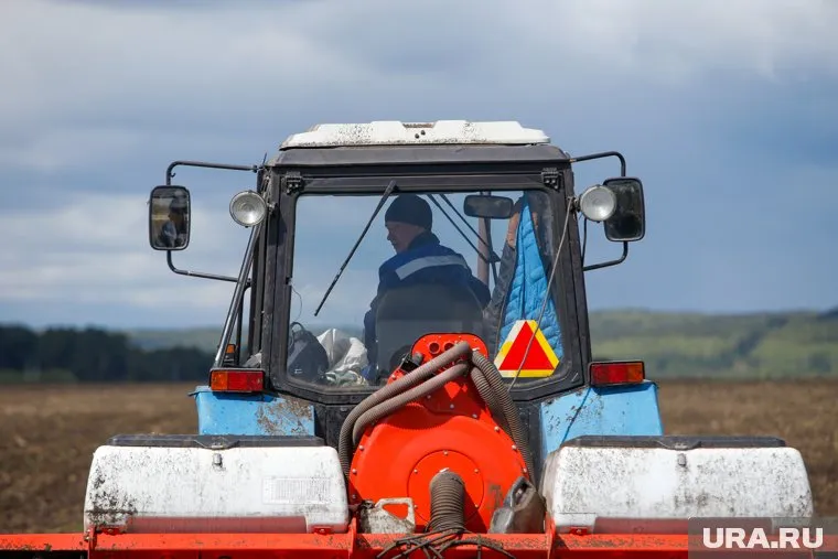 На малое подворье ищут скотника, который умеет водить трактор