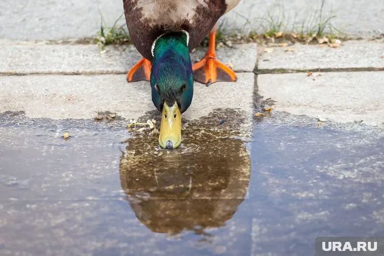В субботу ожидают наиболее теплую погоду (архивное фото)
