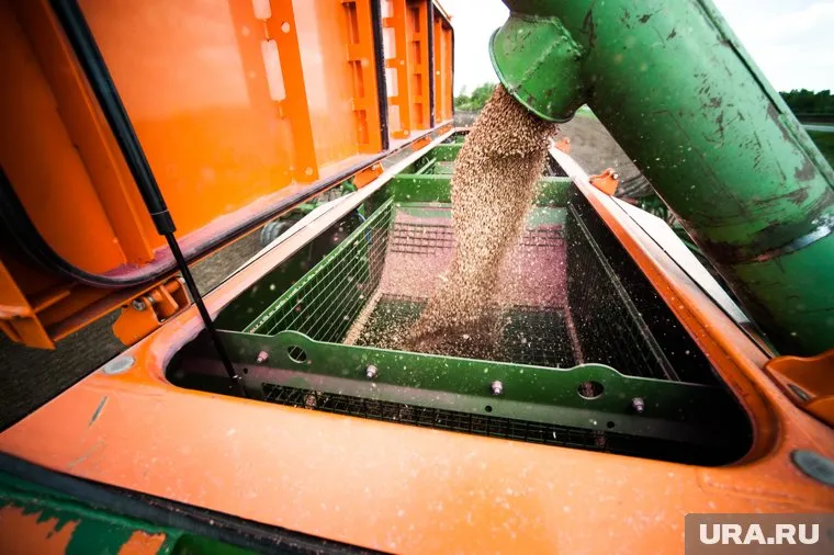 Синоптики дают плохой прогноз по летней погоде, поэтому аграрии должны быть готовы