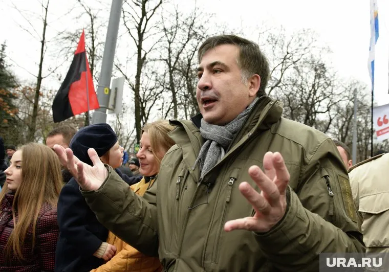 Пользователи сравнили Саакашвили с кабаном