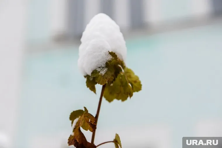 Отрицательные температуры не уходят из Челябинской области