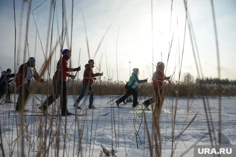 Урок физкультуры в школе проходил на улице (архивное фото)