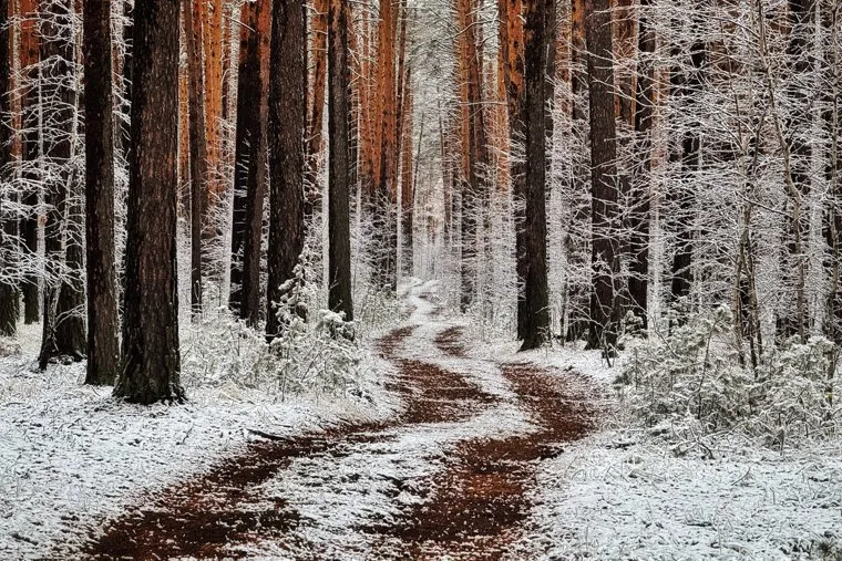 Первый снег. Курган