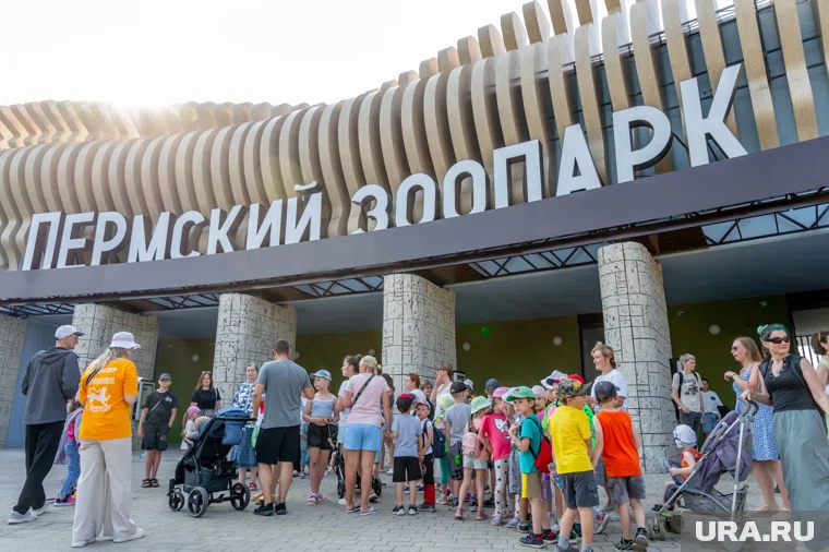 Посетители смогут познакомиться с лемуром на следующей неделе