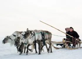 «Все, что известно — он задержан»